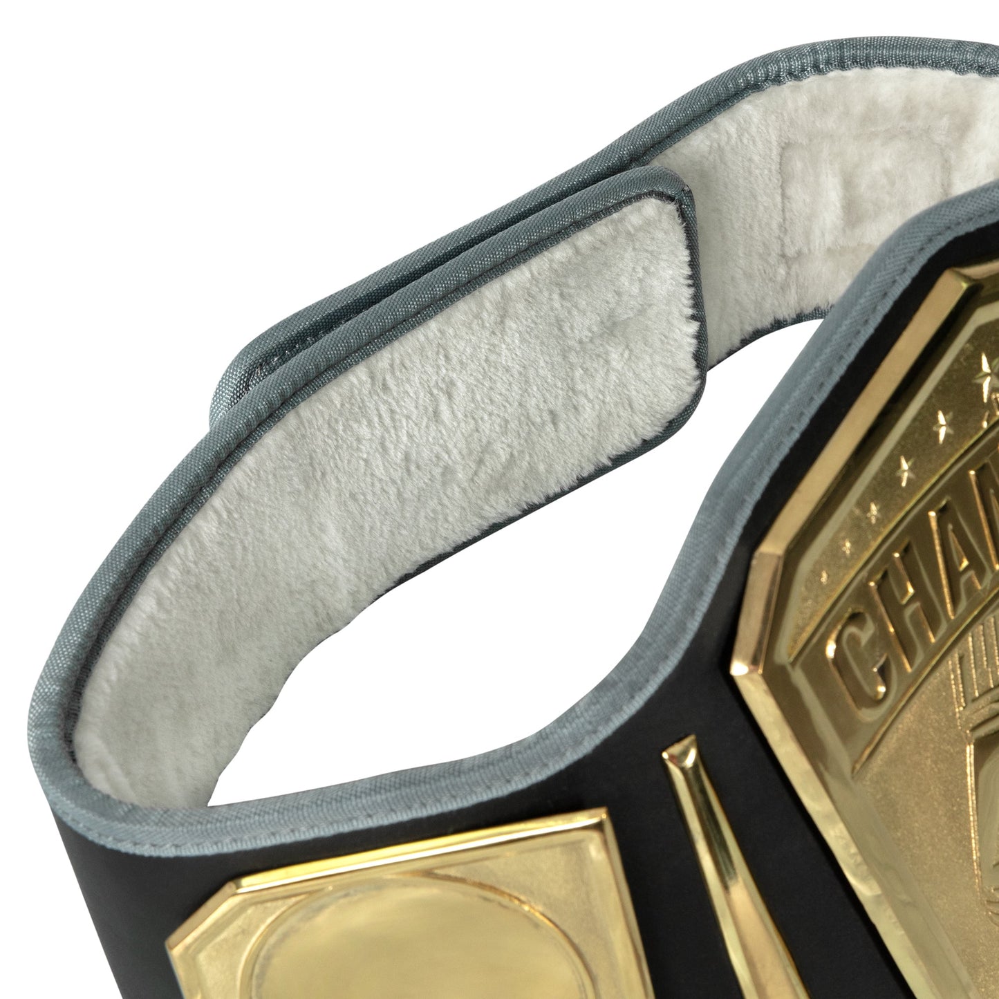 TITLE Boxing Undisputed Championship Belt